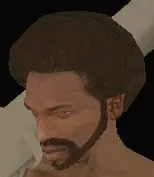 Clothing index 25: afrobeard (afro)
